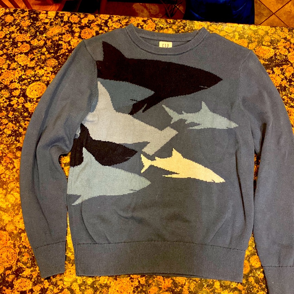 Boys Gap sweater